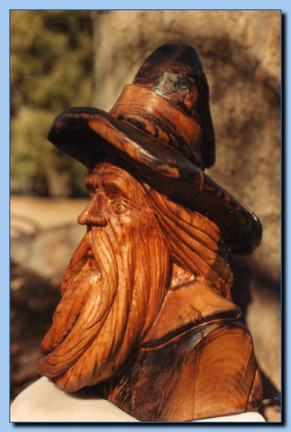 2-50 wizard bust-archive